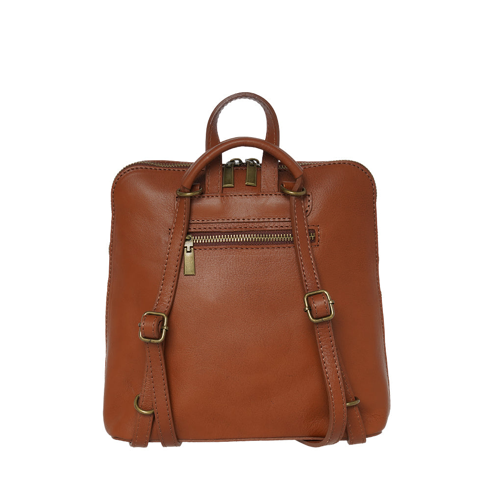 298 ZAINO